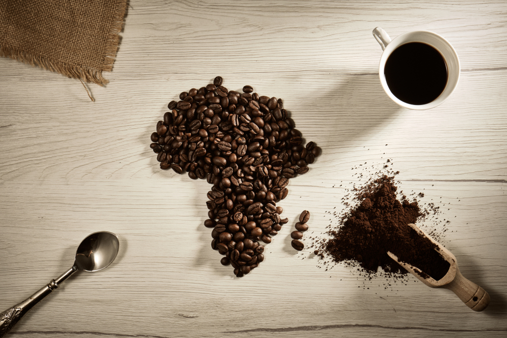 The Best South American Coffee