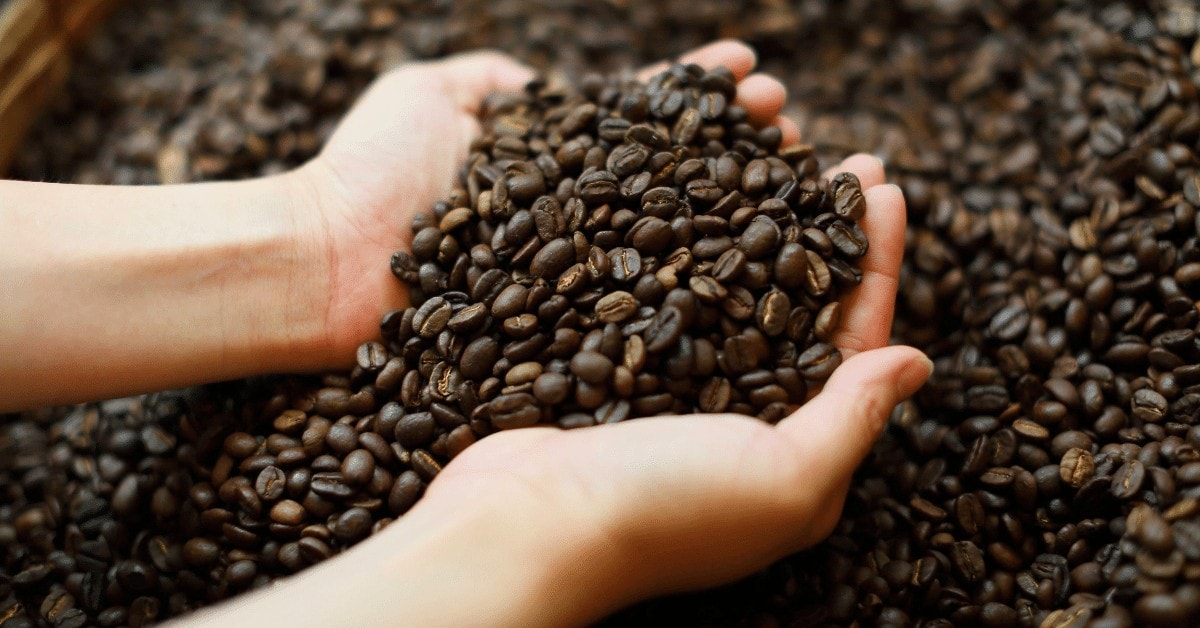 Can You Eat Coffee Beans? Benefits & Side Effects Explained