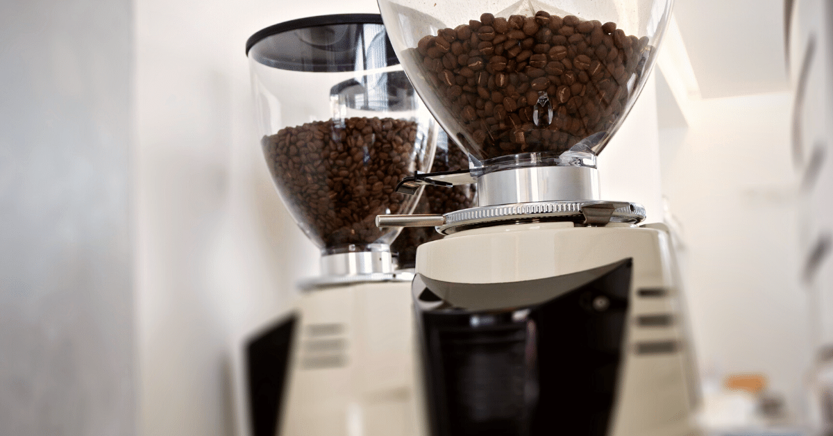 Best Budget Coffee Grinder (Top 11 Picks)
