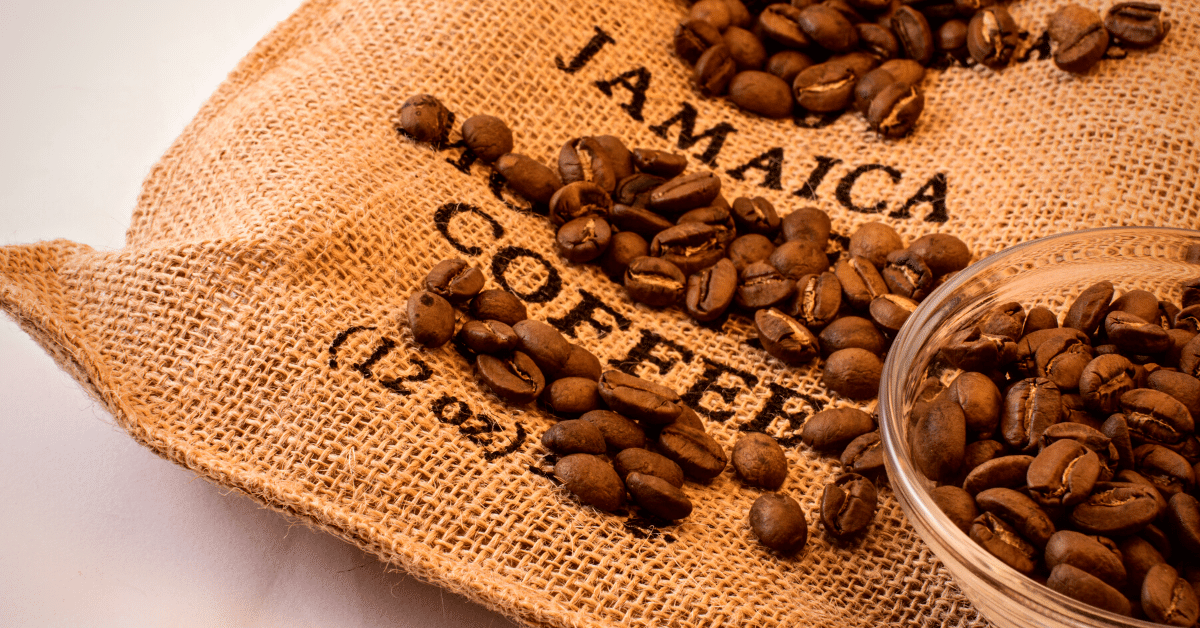 jamaica coffee