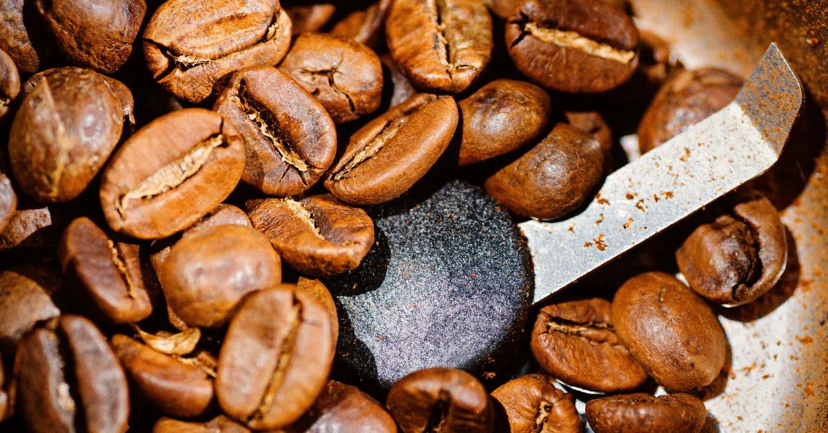 Burr Grinder Vs Blade Grinder Which One Is Better?