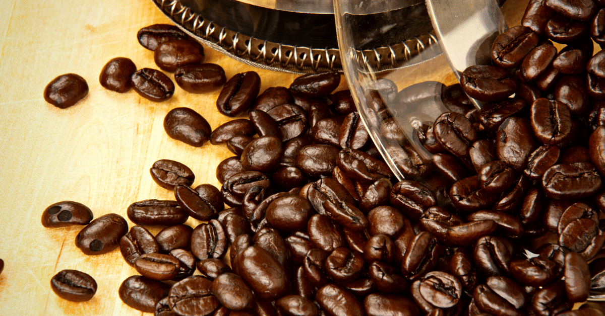 french press and coffee beans