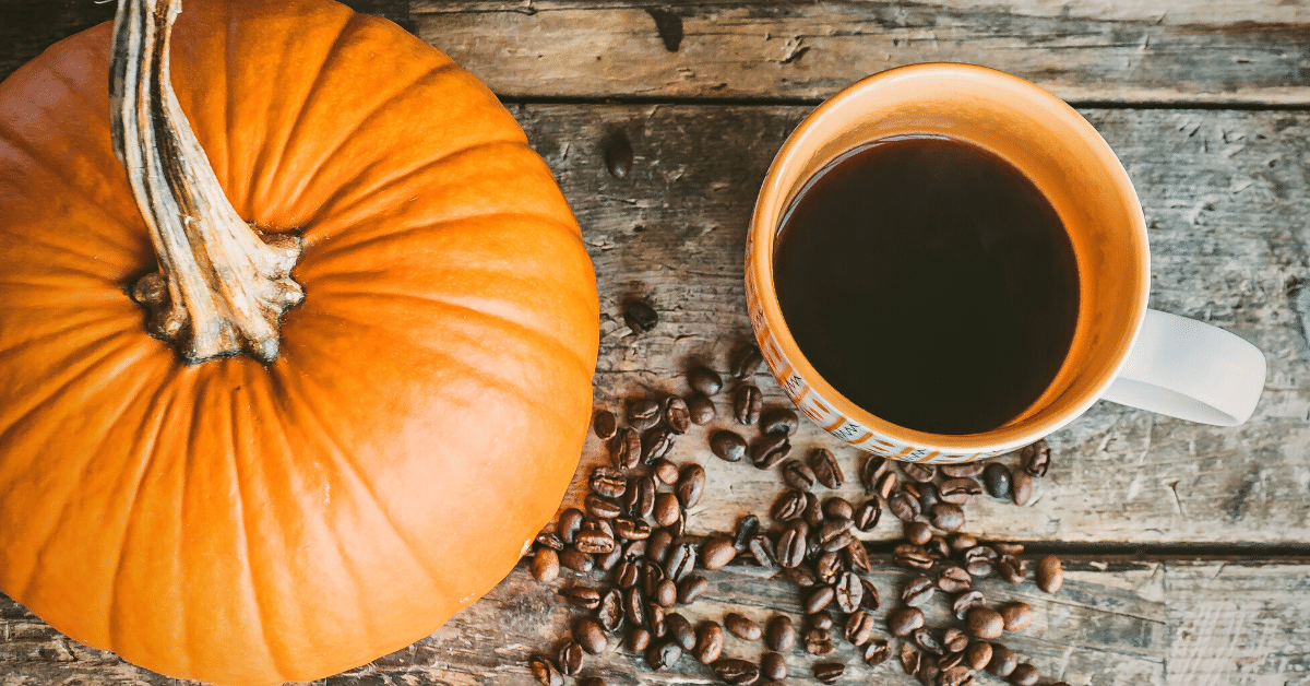 The Best Pumpkin Spice Coffee In 2024 Top 11 Picks 