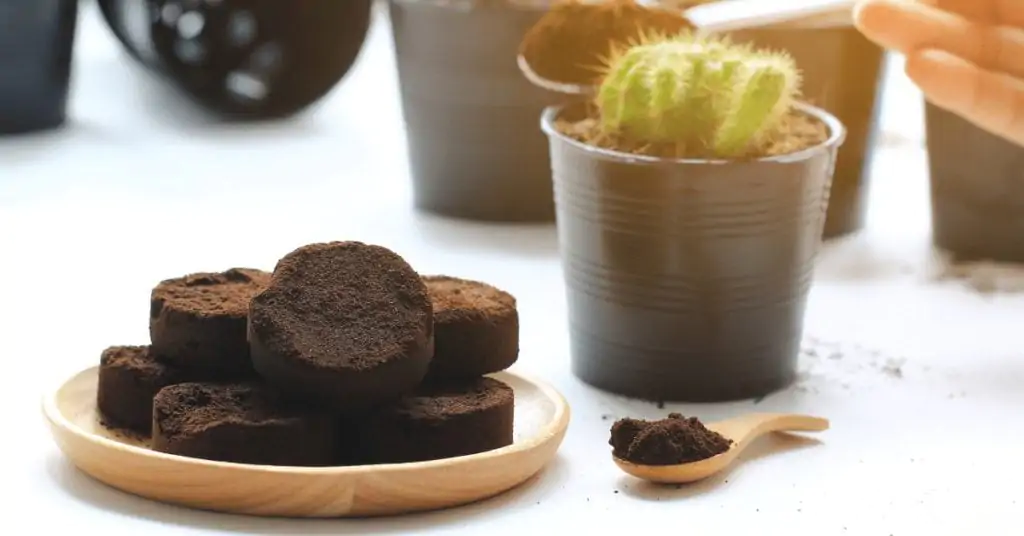used coffee grounds being used on plants