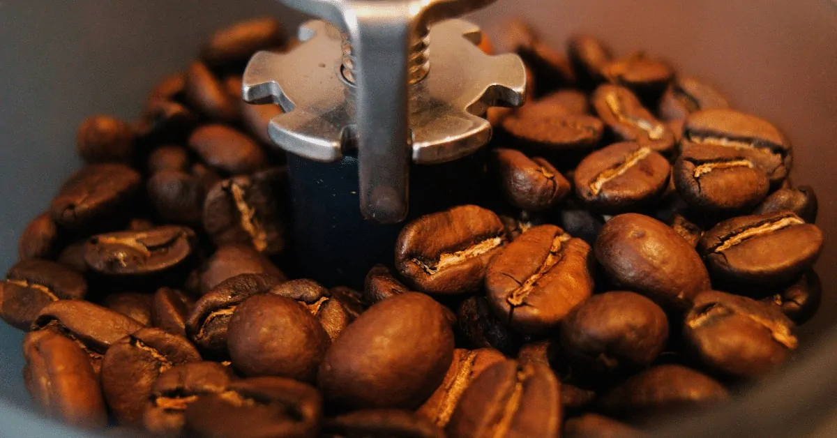 coffee beans in a coffee grinder