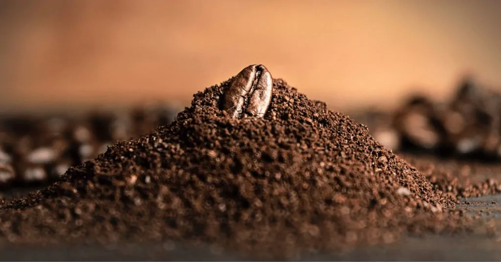 pile of ground coffee with a coffee bean on top