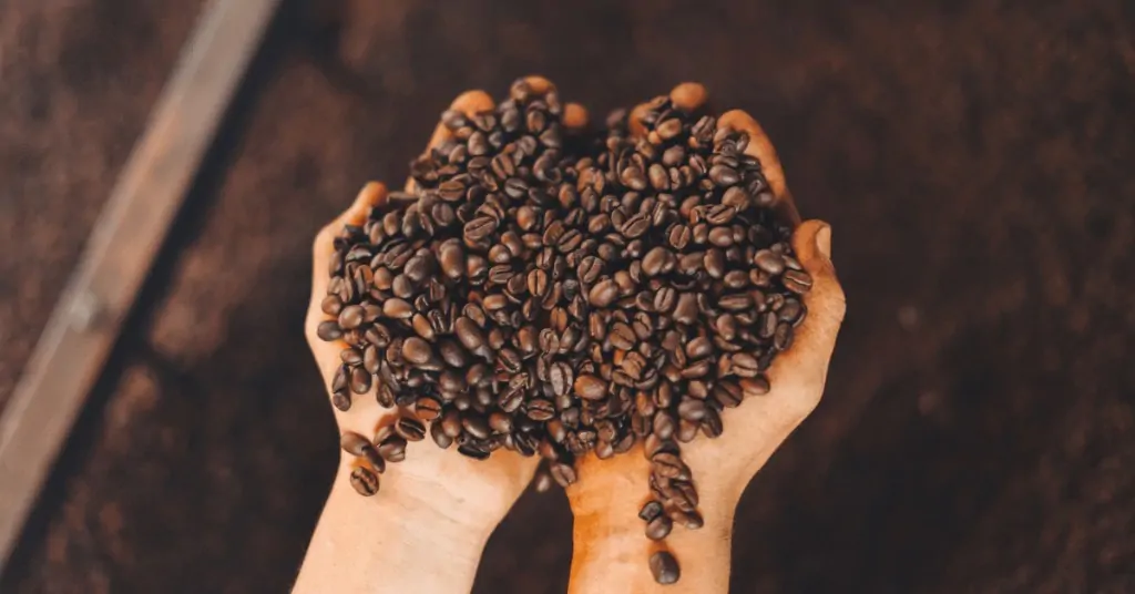 hands holding freshly roasted coffee beans