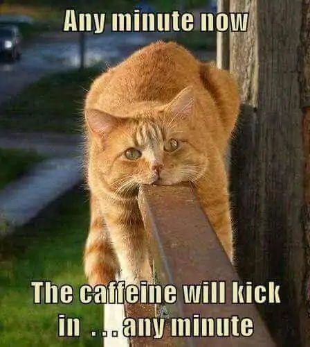 the caffein will kick in