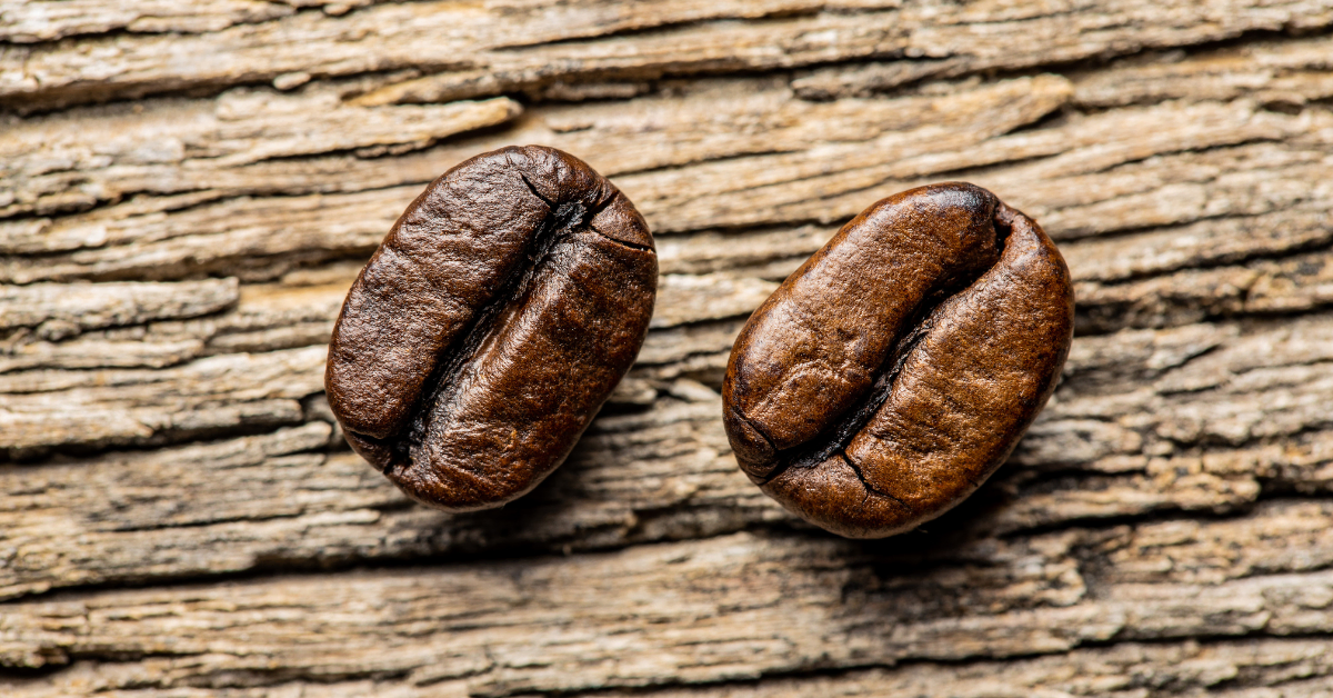 arabica and robusta coffee beans