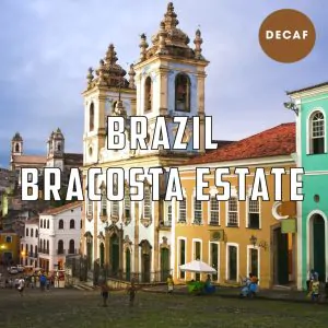 Volcanica Brazil Decaf Coffee - Bracosta Estate 
