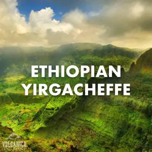 Volcanica Ethiopian Yirgacheffe Coffee 