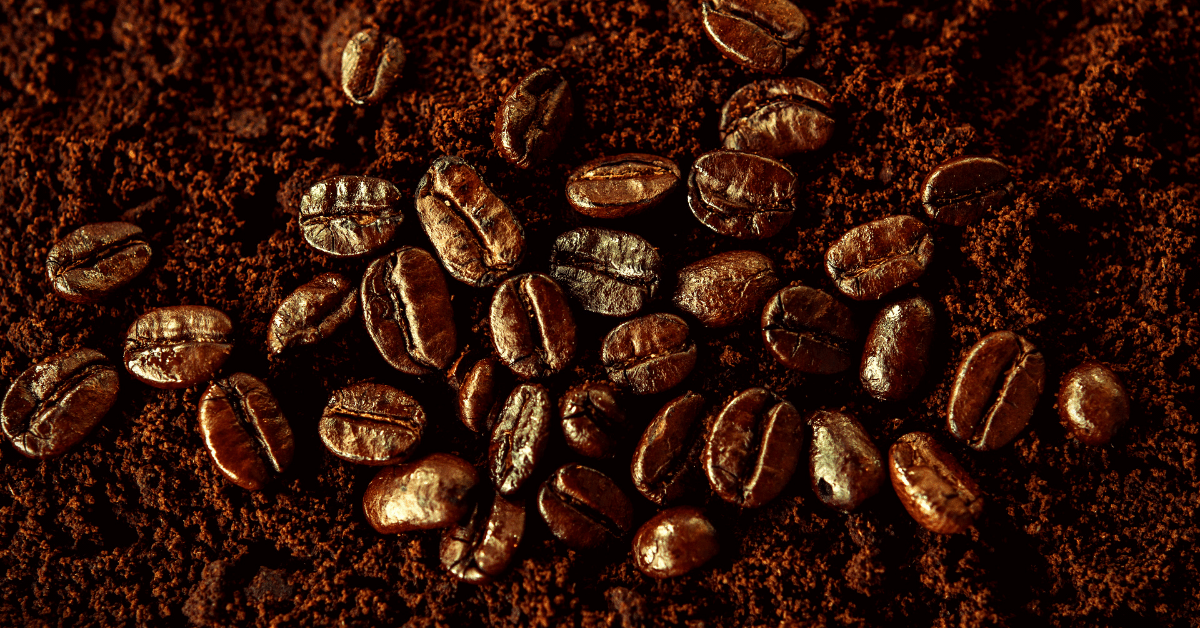 coffee beans on coffee grounds