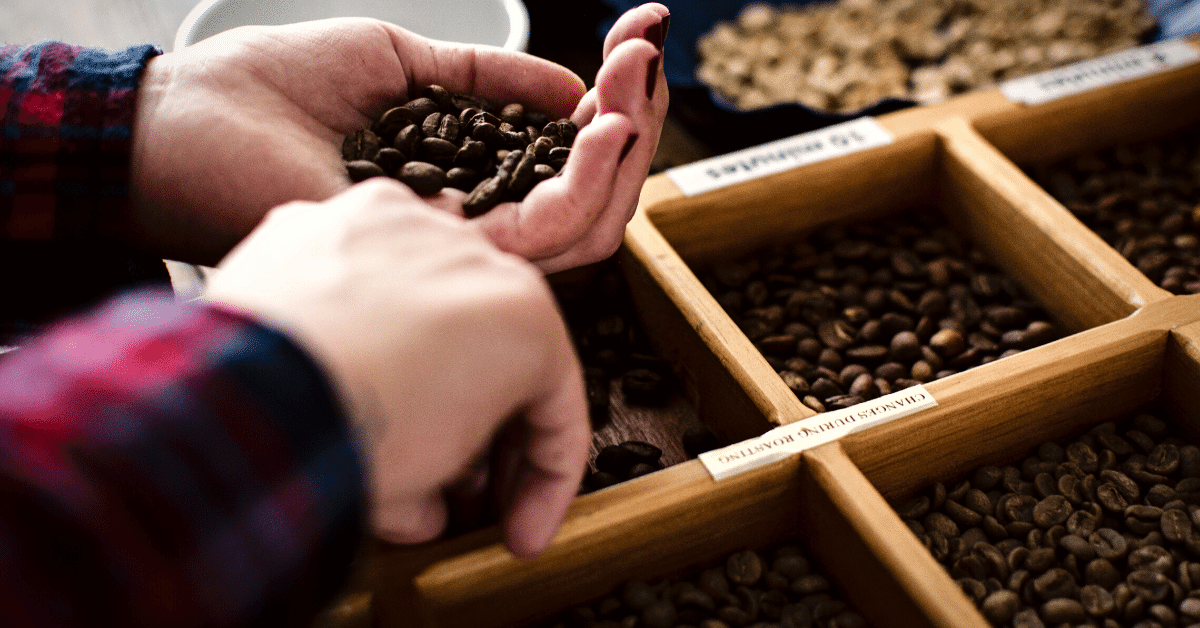 different types of roasted coffee beans