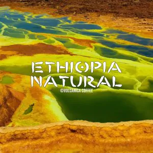 Volcanica Ethiopia Natural Coffee
