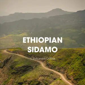 Volcanica Ethiopia Sidamo Coffee