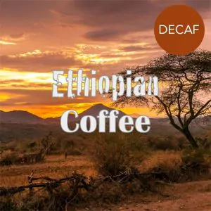 Volcanica Ethiopian Yirgacheffe Decaf Coffee 