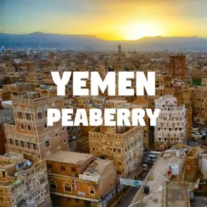 Volcanica Yemen Peaberry Coffee 