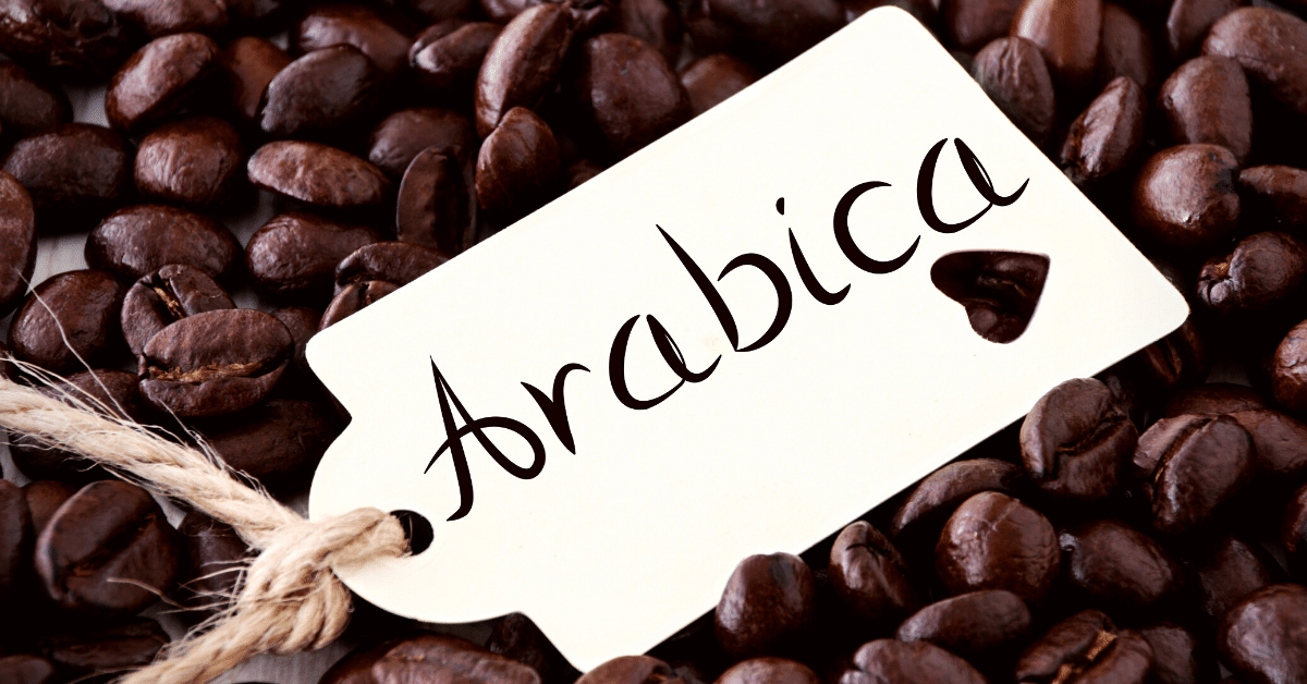 best arabica coffee