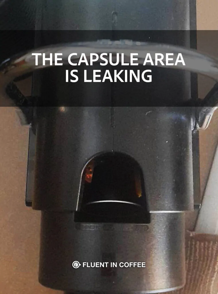 THE CAPSULE AREA IS LEAKING