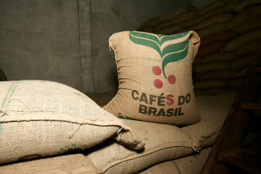 brazilian coffee beans