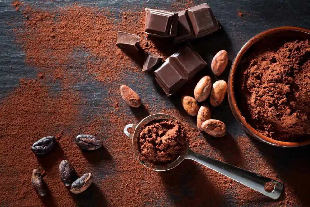 Cocoa beans, chocolate and cocoa powder still life